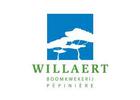 logo Willaert