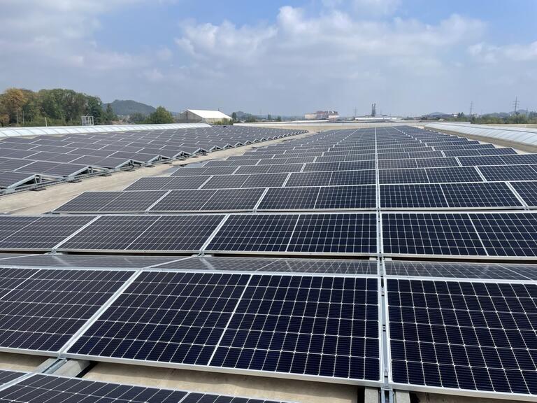 zonnepanelen