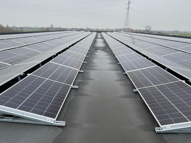 zonnepanelen