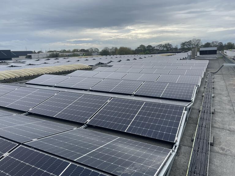zonnepanelen