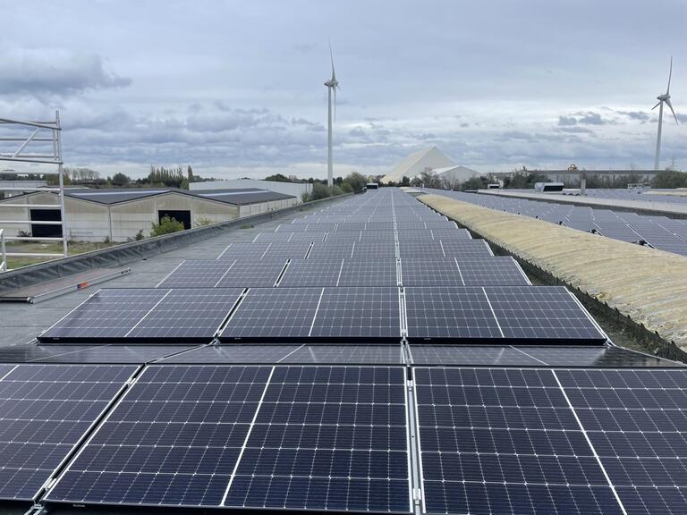 zonnepanelen
